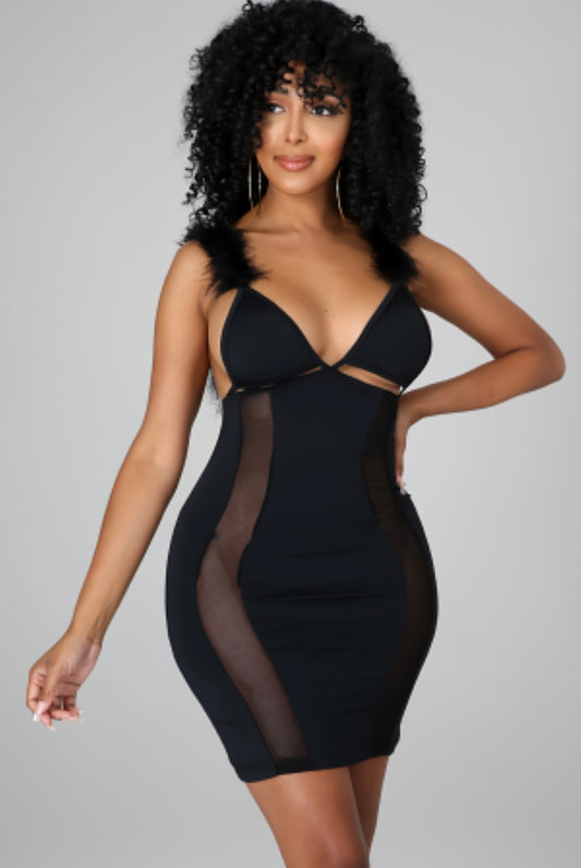 Eyes for You Regular Sizes