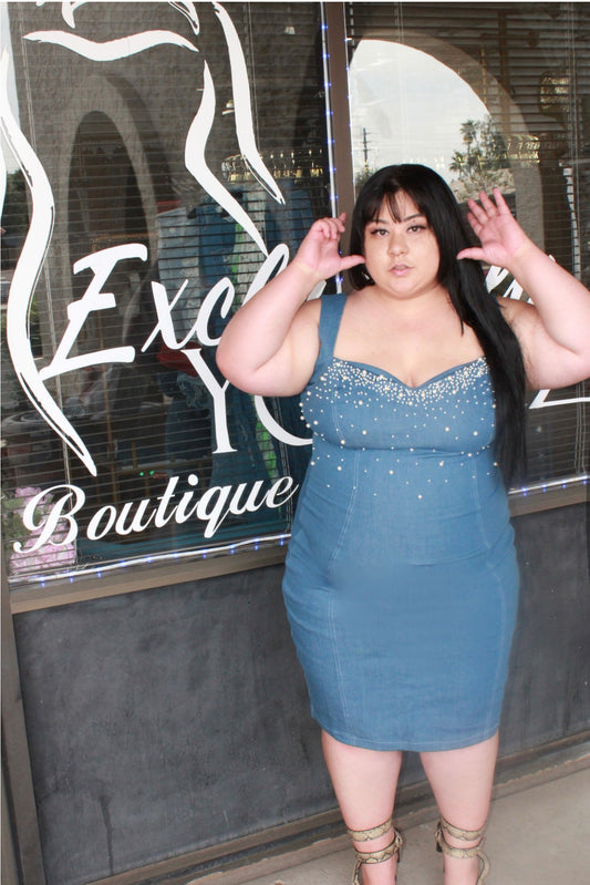 Pretty & Paid Denim Dress