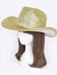 Cowgirl Hat